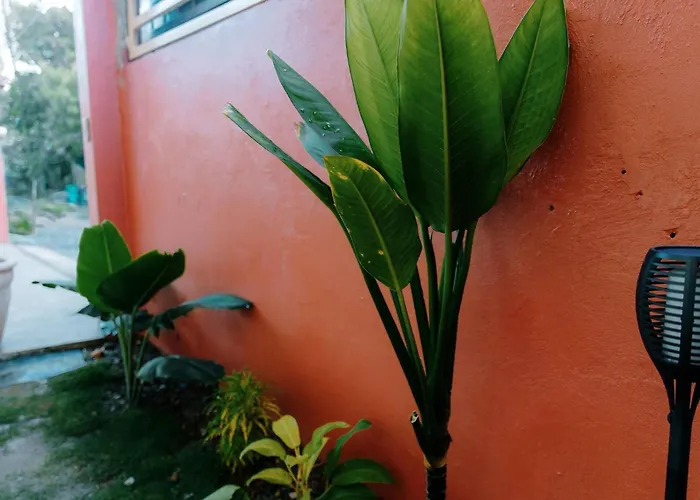 Modern Bahay Kubo With Hot And Cold Shower *